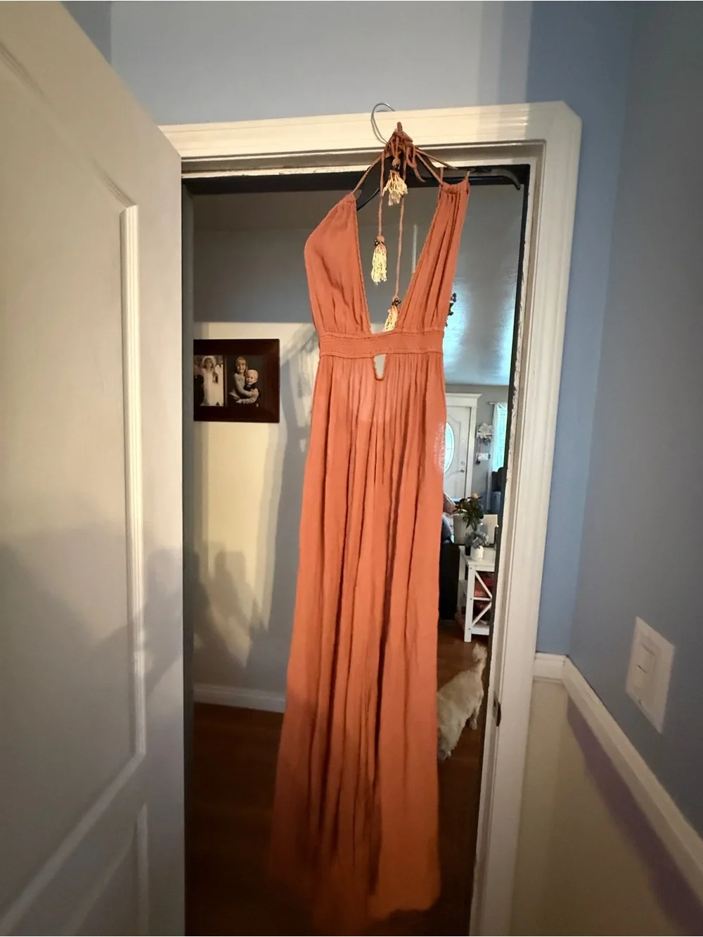 Sleeveless Deep V Maxi Dress in Terracotta - Picture 1 of 4